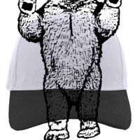 Brushed Cotton Twill Hook-And-Loop Adjustable Cap Thumbnail