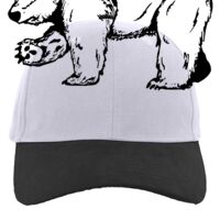 Brushed Cotton Twill Hook-And-Loop Adjustable Cap Thumbnail