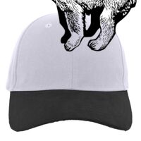 Brushed Cotton Twill Hook-And-Loop Adjustable Cap Thumbnail