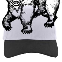 Brushed Cotton Twill Hook-And-Loop Adjustable Cap Thumbnail