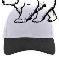 Brushed Cotton Twill Hook-And-Loop Adjustable Cap Thumbnail