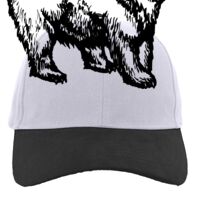 Brushed Cotton Twill Hook-And-Loop Adjustable Cap Thumbnail