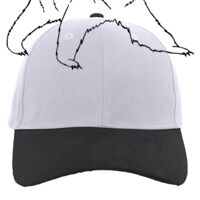 Brushed Cotton Twill Hook-And-Loop Adjustable Cap Thumbnail