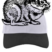 Brushed Cotton Twill Hook-And-Loop Adjustable Cap Thumbnail