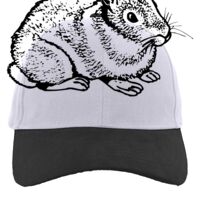 Brushed Cotton Twill Hook-And-Loop Adjustable Cap Thumbnail