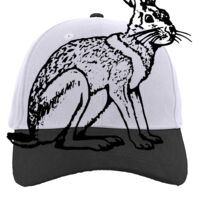 Brushed Cotton Twill Hook-And-Loop Adjustable Cap Thumbnail