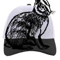 Brushed Cotton Twill Hook-And-Loop Adjustable Cap Thumbnail