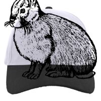 Brushed Cotton Twill Hook-And-Loop Adjustable Cap Thumbnail