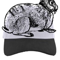 Brushed Cotton Twill Hook-And-Loop Adjustable Cap Thumbnail