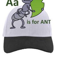 Brushed Cotton Twill Hook-And-Loop Adjustable Cap Thumbnail