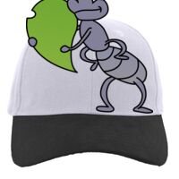 Brushed Cotton Twill Hook-And-Loop Adjustable Cap Thumbnail