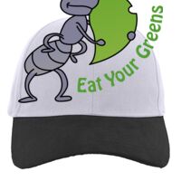 Brushed Cotton Twill Hook-And-Loop Adjustable Cap Thumbnail