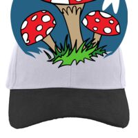 Brushed Cotton Twill Hook-And-Loop Adjustable Cap Thumbnail