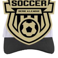 Brushed Cotton Twill Hook-And-Loop Adjustable Cap Thumbnail