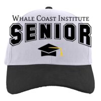 Brushed Cotton Twill Hook-And-Loop Adjustable Cap Thumbnail