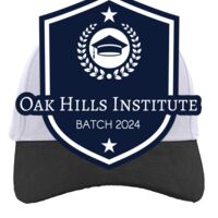 Brushed Cotton Twill Hook-And-Loop Adjustable Cap Thumbnail