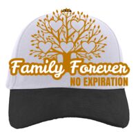 Brushed Cotton Twill Hook-And-Loop Adjustable Cap Thumbnail