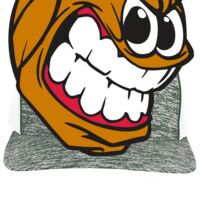 Aggressive Heather Trucker Snapback Cap Thumbnail