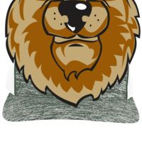 Aggressive Heather Trucker Snapback Cap Thumbnail