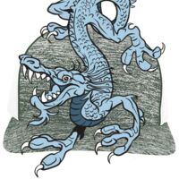 Aggressive Heather Trucker Snapback Cap Thumbnail