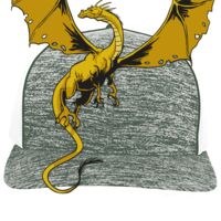 Aggressive Heather Trucker Snapback Cap Thumbnail