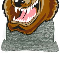 Aggressive Heather Trucker Snapback Cap Thumbnail