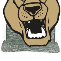 Aggressive Heather Trucker Snapback Cap Thumbnail