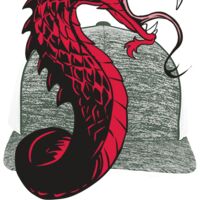 Aggressive Heather Trucker Snapback Cap Thumbnail