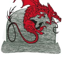 Aggressive Heather Trucker Snapback Cap Thumbnail