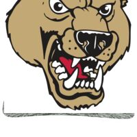 Aggressive Heather Trucker Snapback Cap Thumbnail