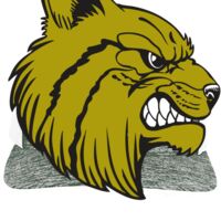 Aggressive Heather Trucker Snapback Cap Thumbnail