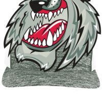 Aggressive Heather Trucker Snapback Cap Thumbnail