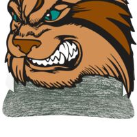 Aggressive Heather Trucker Snapback Cap Thumbnail