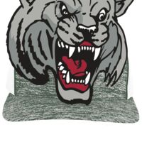 Aggressive Heather Trucker Snapback Cap Thumbnail