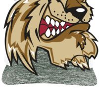 Aggressive Heather Trucker Snapback Cap Thumbnail