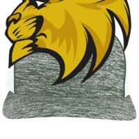 Aggressive Heather Trucker Snapback Cap Thumbnail