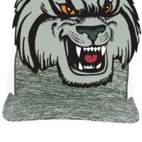 Aggressive Heather Trucker Snapback Cap Thumbnail