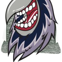 Aggressive Heather Trucker Snapback Cap Thumbnail