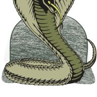 Aggressive Heather Trucker Snapback Cap Thumbnail