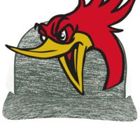 Aggressive Heather Trucker Snapback Cap Thumbnail