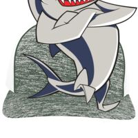 Aggressive Heather Trucker Snapback Cap Thumbnail