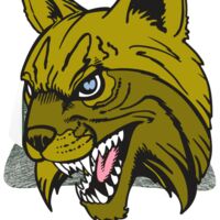 Aggressive Heather Trucker Snapback Cap Thumbnail