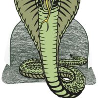 Aggressive Heather Trucker Snapback Cap Thumbnail