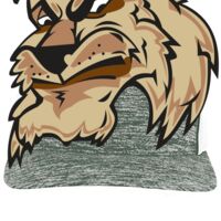 Aggressive Heather Trucker Snapback Cap Thumbnail