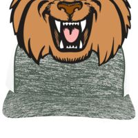 Aggressive Heather Trucker Snapback Cap Thumbnail