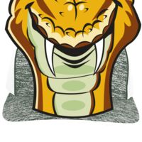 Aggressive Heather Trucker Snapback Cap Thumbnail