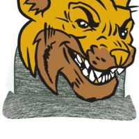 Aggressive Heather Trucker Snapback Cap Thumbnail