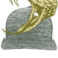 Aggressive Heather Trucker Snapback Cap Thumbnail