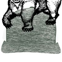 Aggressive Heather Trucker Snapback Cap Thumbnail