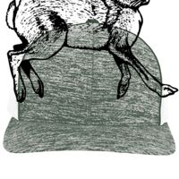 Aggressive Heather Trucker Snapback Cap Thumbnail